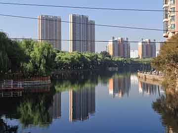 NVIDIA全球地位与排名，揭秘其在行业中的领导地位