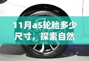 揭秘十一月A5轮胎尺寸,启程探索自然美景,寻觅内心宁静与平和之旅