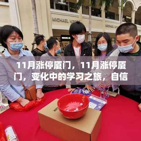 11月厦门涨停背后的学习之旅,自信与成就感的源泉