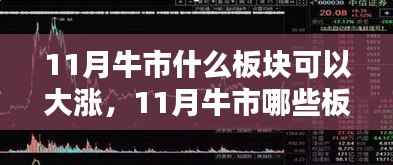 深度解析与竞品对比,揭秘11月牛市中哪些板块有望爆发大涨