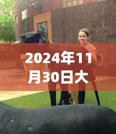 大狗二代狗,自然美景的寻梦之旅启程