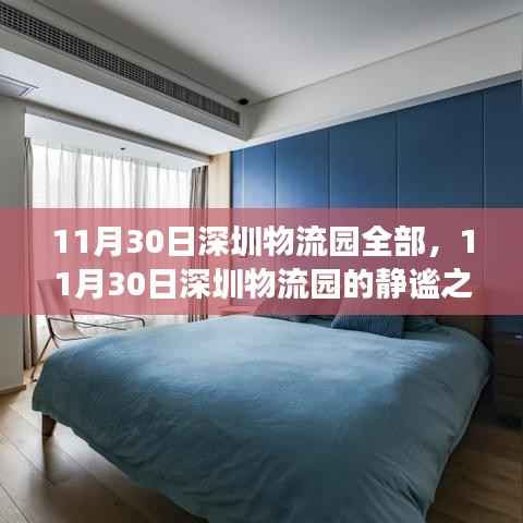 11月30日深圳物流园的静谧之旅,与自然共舞,探寻内心平和