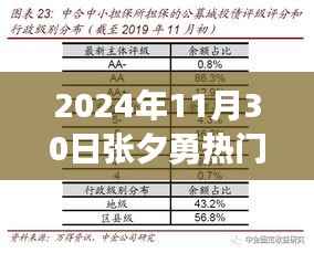 张夕勇现象深度解析,揭秘其在2024年11月30日的独特魅力与热门现象背后的故事