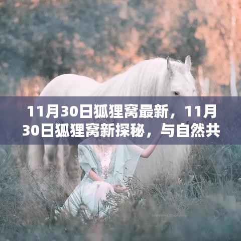 11月30日狐狸窝新探秘,与自然共舞,内心宁静乐园的追寻
