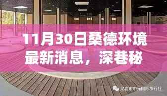 深巷秘境探秘桑德环境最新动态,隐藏瑰宝小店揭秘标题建议,探访桑德环境最新动态下的隐藏瑰宝小店,深巷秘境中的最新消息揭秘