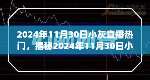 揭秘，2024年11月30日小灰直播三大看点火爆上线！