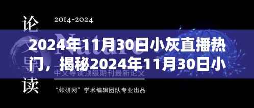 揭秘,2024年11月30日小灰直播三大看点火爆上线!