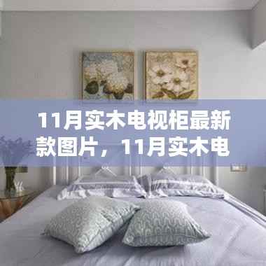 11月实木电视柜最新款图片大赏,时尚与经典的融合,温馨家居新风尚的缔造者!