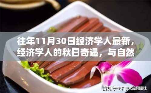 经济学人秋日心灵之旅，与自然共舞，探寻宁静之地