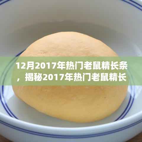 揭秘2017年热门老鼠精长条,技术革新与应用探讨的要点解析
