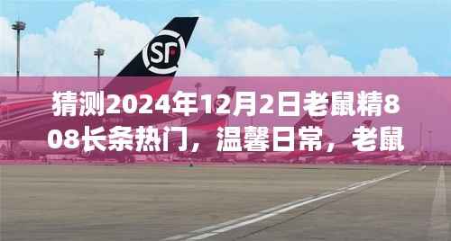 老鼠精808的奇妙预测与友情故事,温馨日常的热门展望