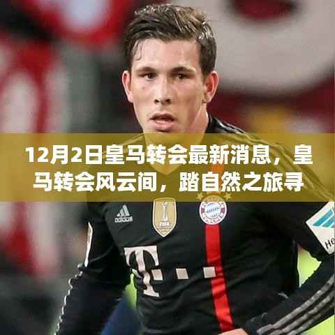 皇马转会风云再起,探寻内心宁静的自然之旅