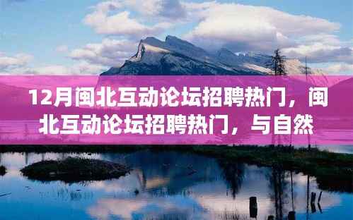 闽北互动论坛招聘热门,与自然美景同行,寻找内心的平和宁静之旅
