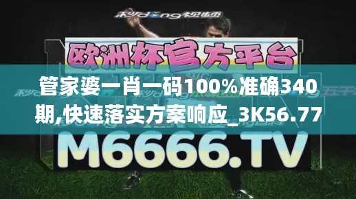 管家婆一肖一码100%准确340期,快速落实方案响应_3K56.770-6