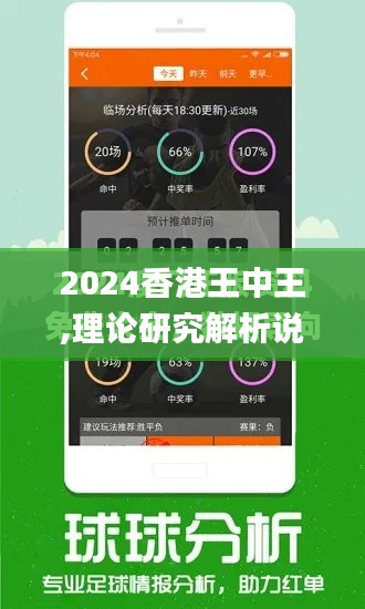 2024香港王中王,理论研究解析说明_tool35.169-3