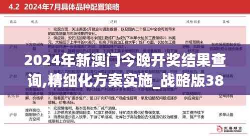 2024年新澳门今晚开奖结果查询,精细化方案实施_战略版38.310