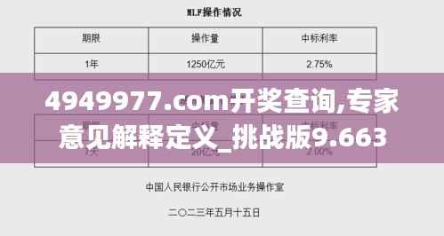 4949977.соm开奖查询,专家意见解释定义_挑战版9.663