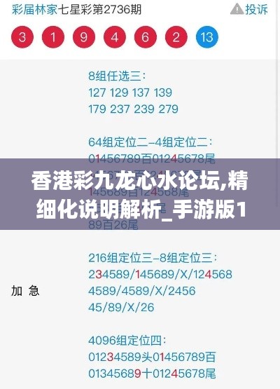 香港彩九龙心水论坛,精细化说明解析_手游版11.568