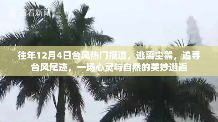 追寻台风尾迹，心灵与自然的美妙邂逅，历年台风热门报道回顾