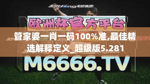 管家婆一肖一码100%准,最佳精选解释定义_超级版5.281