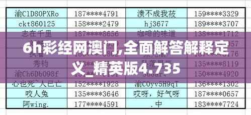 6h彩经网澳门,全面解答解释定义_精英版4.735