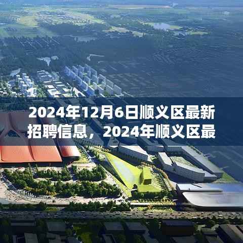 2024年顺义区最新招聘信息揭秘,就业机遇与挑战并存