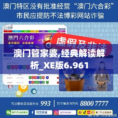 澳门管家婆,经典解读解析_XE版6.961