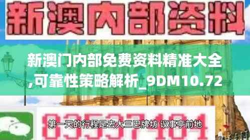 新澳门内部免费资料精准大全,可靠性策略解析_9DM10.729