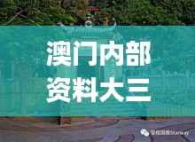 澳门内部资料大三巴网站诠释析落,动态说明解析_watchOS5.216