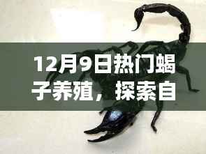 蝎子养殖之旅,探索自然秘境,寻找内心的宁静与平和——蝎子养殖日启程活动