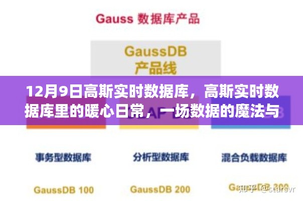 高斯实时数据库,数据的魔法与友情的暖心日常盛宴