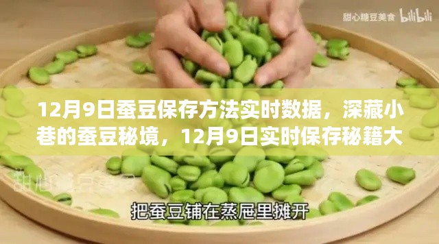 12月9日蚕豆保存秘籍,探寻深藏小巷的实时保存秘籍大揭秘!