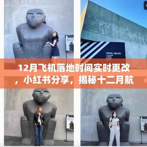 小红书揭秘，十二月航班落地时间实时更改攻略与飞行体验分享