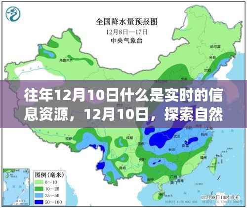 往年12月10日,实时信息资源探索与心灵自然之旅的宁静喜悦探索