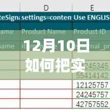 实操指南,高效导入实时库存至表格管理——12月10日教程