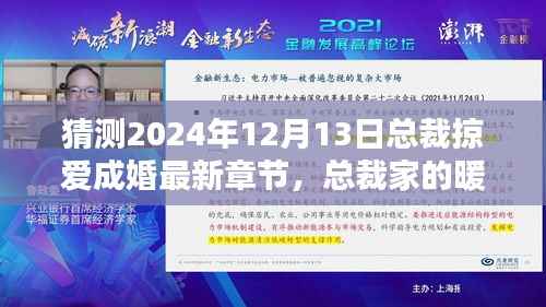 总裁掠爱成婚,暖心日常与爱的力量最新章节猜测 2024年总裁家的温馨时光