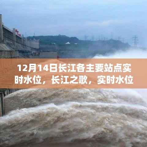 长江实时水位背后的励志故事,长江之歌在行动,站点水位监测报告(12月14日)