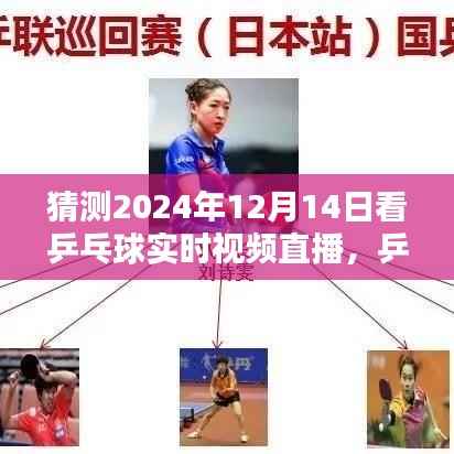乒乓球直播之夜,共度美好时光,期待2024年乒乓球赛事精彩瞬间