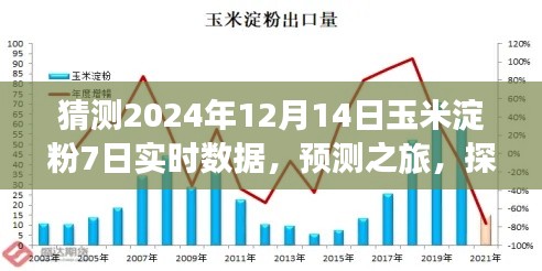 探寻未来玉米淀粉市场走势,预测之旅,揭秘2024年玉米淀粉实时数据动态分析报告(以预测日期为例)