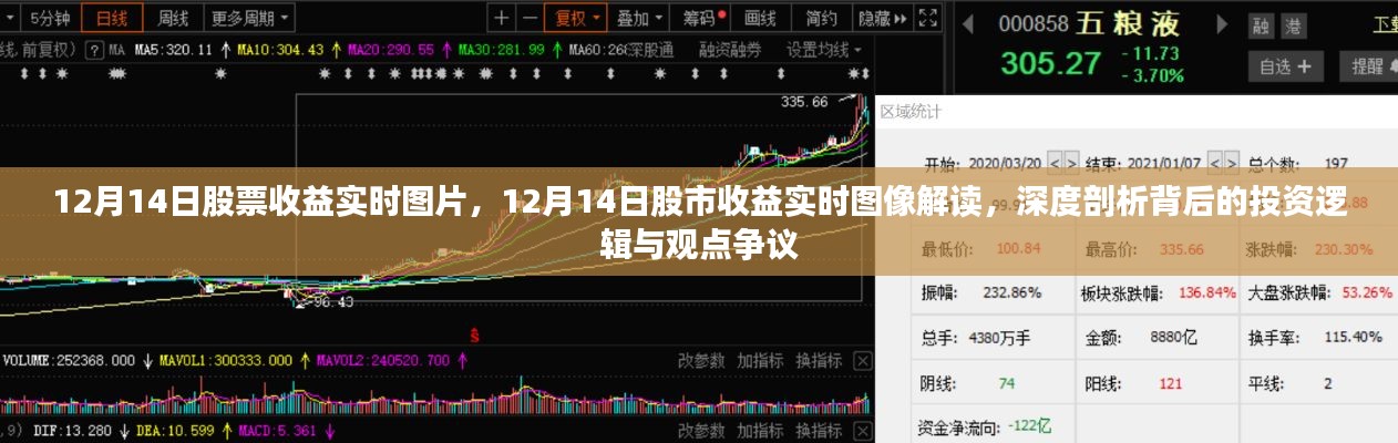 揭秘股市收益实时图像背后的投资逻辑与观点争议,深度剖析与解读股市收益实时图片(12月14日)