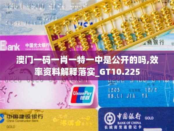 澳门一码一肖一特一中是公开的吗,效率资料解释落实_GT10.225