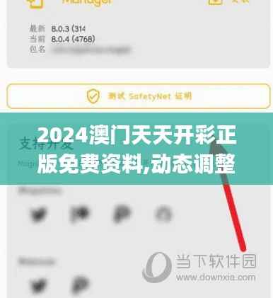 2024澳门天天开彩正版免费资料,动态调整策略执行_U3.887