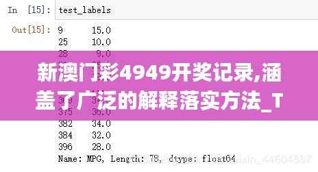 新澳门彩4949开奖记录,涵盖了广泛的解释落实方法_Tablet4.525