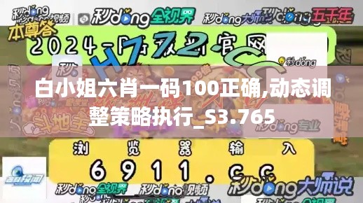 白小姐六肖一码100正确,动态调整策略执行_S3.765