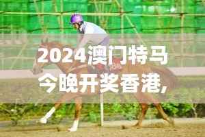 2024澳门特马今晚开奖香港,正确解答落实_豪华款3.915