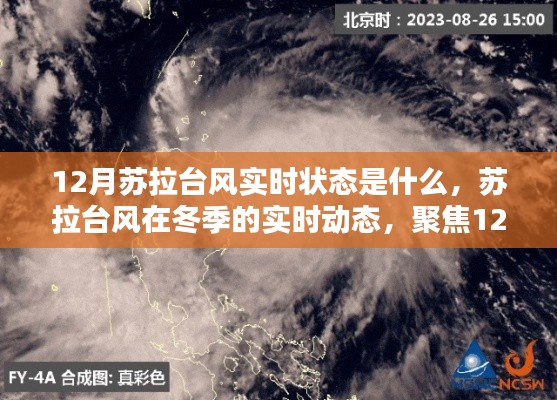 聚焦12月苏拉台风实时动态,冬季台风状态解析