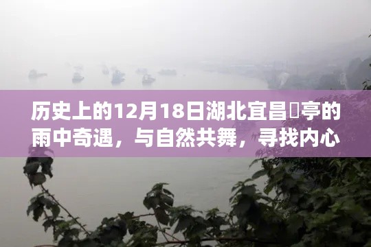 湖北宜昌猇亭雨中奇遇,与自然共舞,探寻内心宁静的历程