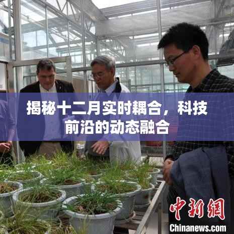 揭秘十二月科技前沿动态融合,实时耦合展现新进展