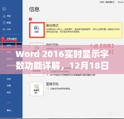 Word 2016实时显示字数功能详解及设置指南与全面评测(12月18日版)