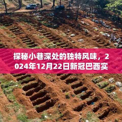 探秘小巷深处的独特风味,隐秘美食之旅在巴西新冠疫情下的独特体验